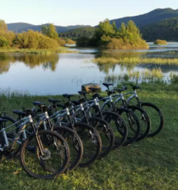 Prodaja koles cerknica