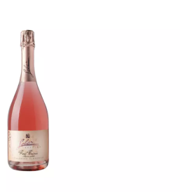 Prodaja kvalitetnih domacih vin stajerska