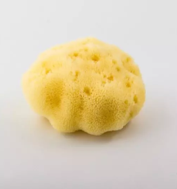 Prodaja kvalitetnih pripomockov za nego telesa slovenija