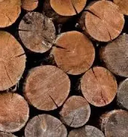 Prodaja lesa kamnik