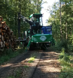 Kvaliteten transport hlodovine po Sloveniji