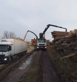Prodaja kvalitetnih lesnih sekancev 