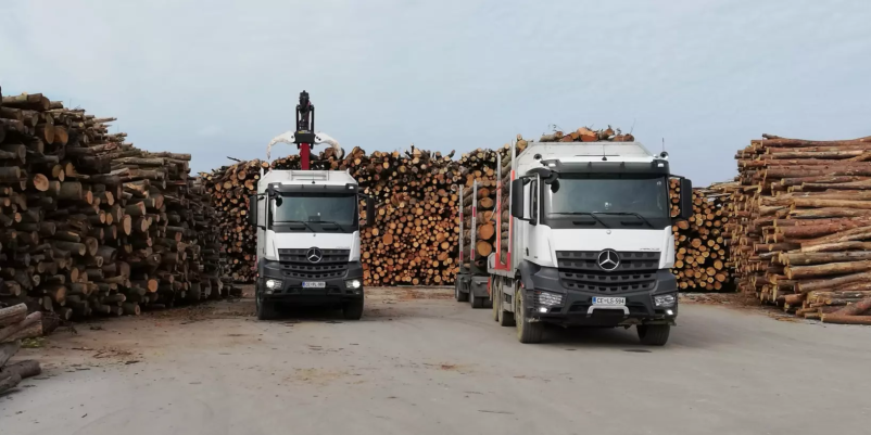 Cenovno ugodna lesna biomasa Slovenija