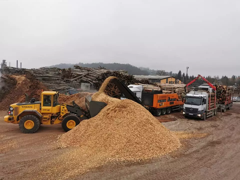 Prodaja lesne biomase po Sloveniji