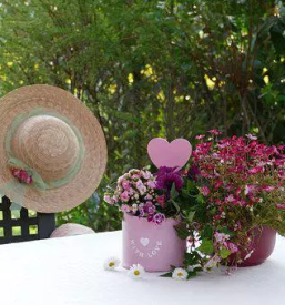 Prodaja loncnic savinjska