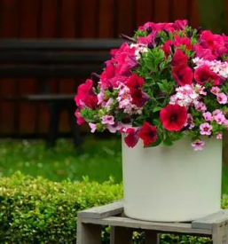 Prodaja loncnic savinjska