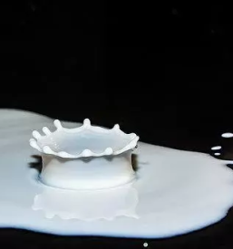 Prodaja mleka in živine Ljubljana