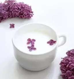 Hitra prodaja mleka in živine Ljubljana in okolica