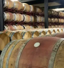 Prodaja opreme za vinogradnistvo v sloveniji