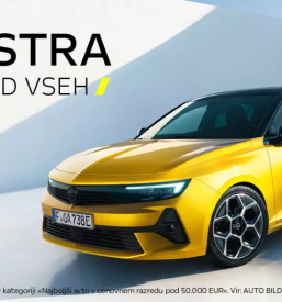 Prodaja osebnih vozil notranjska