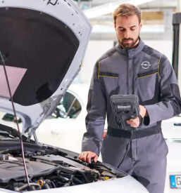 Prodaja osebnih vozil notranjska