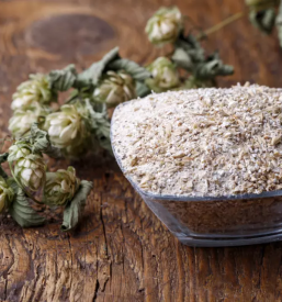 Ugodna prodaja pivovarskega ječmena za pivovarne