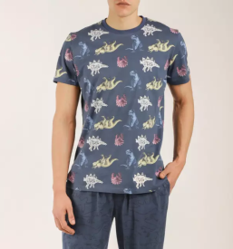 Prodaja pizam ljubljana in kamnik