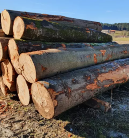 Prodaja sekancev ljubljana