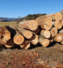 Prodaja sekancev ljubljana