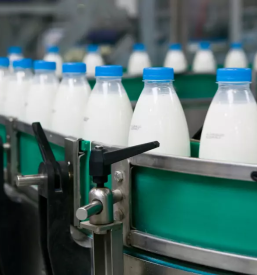 Prodaja surovega mleka slovenija