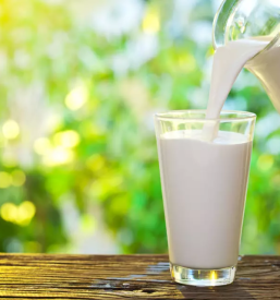 Prodaja surovega mleka slovenija