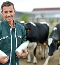 Prodaja surovega mleka slovenija