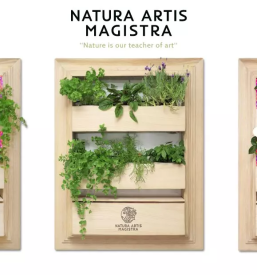 Prodaja vertikalnih panelov za vzgojo notranjih rastlin slovenija