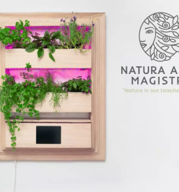 Prodaja vertikalnih panelov za vzgojo notranjih rastlin slovenija