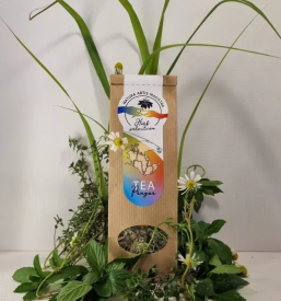 Prodaja vertikalnih panelov za vzgojo notranjih rastlin slovenija