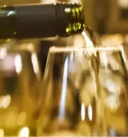 Prodaja vina zelen in pinela vipavska dolina