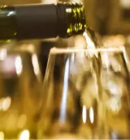 Prodaja vrhunskega vina vipavska dolina