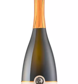 Prodaja vrhunskega vina iz Vipavske doline