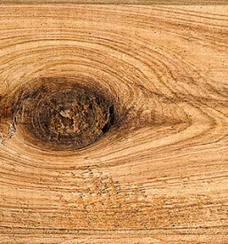 Prodaja zaganega lesa gorenjska