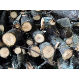 Žaga Žerjal, žaganje lesa, d.o.o.