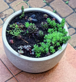 Prodaja zunanjih umivalnikov goriska