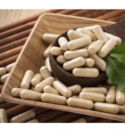 Production of food supplements slovenia