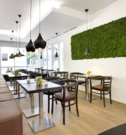 Profesionalne zelene stene koroska slovenija