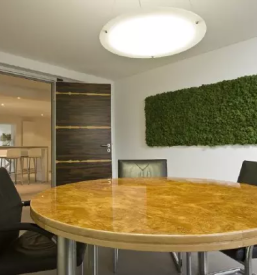 Profesionalne zelene stene koroska slovenija