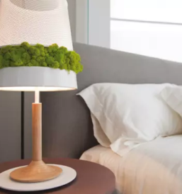 Profesionalne zelene stene koroska slovenija