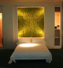 Profesionalne zelene stene koroska slovenija