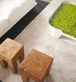 Profesionalne zelene stene koroska slovenija