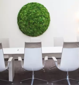 Profesionalne zelene stene koroska slovenija