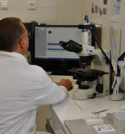 Prodaja zamrznjenega bikovega semena