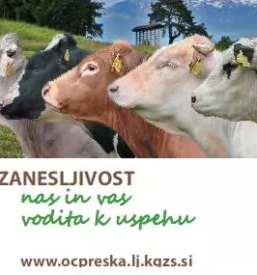 Proizvodnja zamrznjenega bikovega semena Slovenija