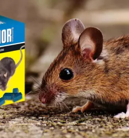 Proizvodnja in prodaja gnojil in biocidov po sloveniji