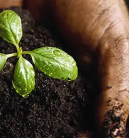 Proizvodnja in prodaja gnojil in biocidov po sloveniji