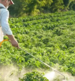 Proizvodnja in prodaja gnojil in biocidov po sloveniji