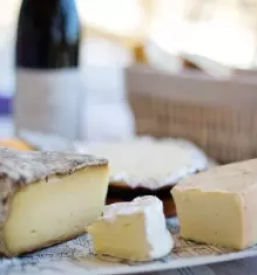 Proizvodnja pakiranje sirnih in mesnih izdelkov slovenija