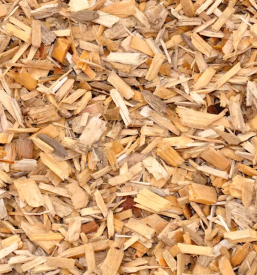 Proizvodnja sekancev primorska