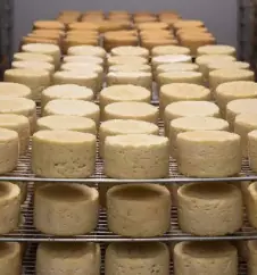 Proizvodnja sira i mesnih proizvoda slovenija