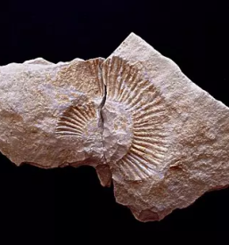 Projektiranje vrtin slovenija