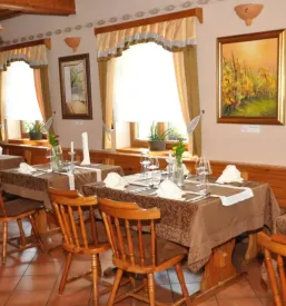 Prostor za zaključene družbe Rogaška Slatina - zabave