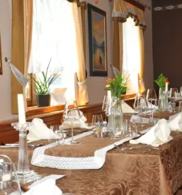 Prostor za zaključene družbe Rogaška Slatina - poslovni dogodki