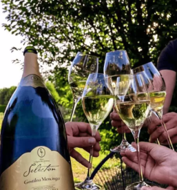 Prostor za zakljucene druzbe do oseb v pomurju